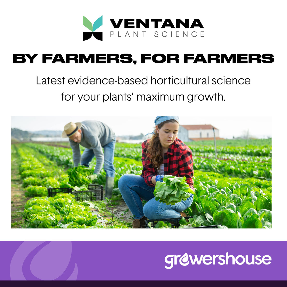 Ventana Organiplug kosher-certified plugs, reliable option for diverse growing setups.