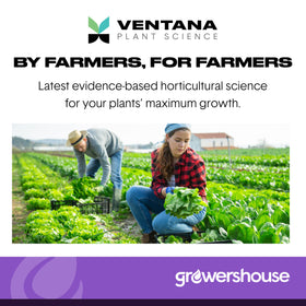 Ventana Organiplug kosher-certified plugs, reliable option for diverse growing setups.