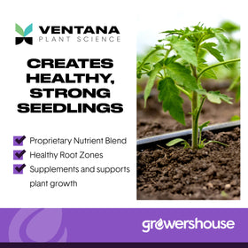 Ventana Organiplug ready-to-use pods on propagation tray, easy to start seedlings.