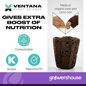 Ventana Organiplug root development close-up showing robust lateral roots.