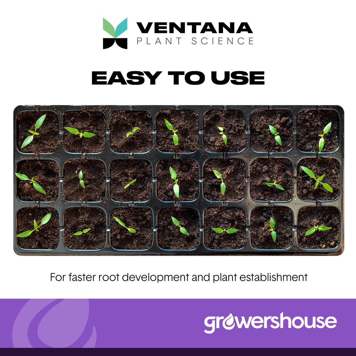 Ventana Organiplug fits standard propagation trays, enabling simple workflow integration.