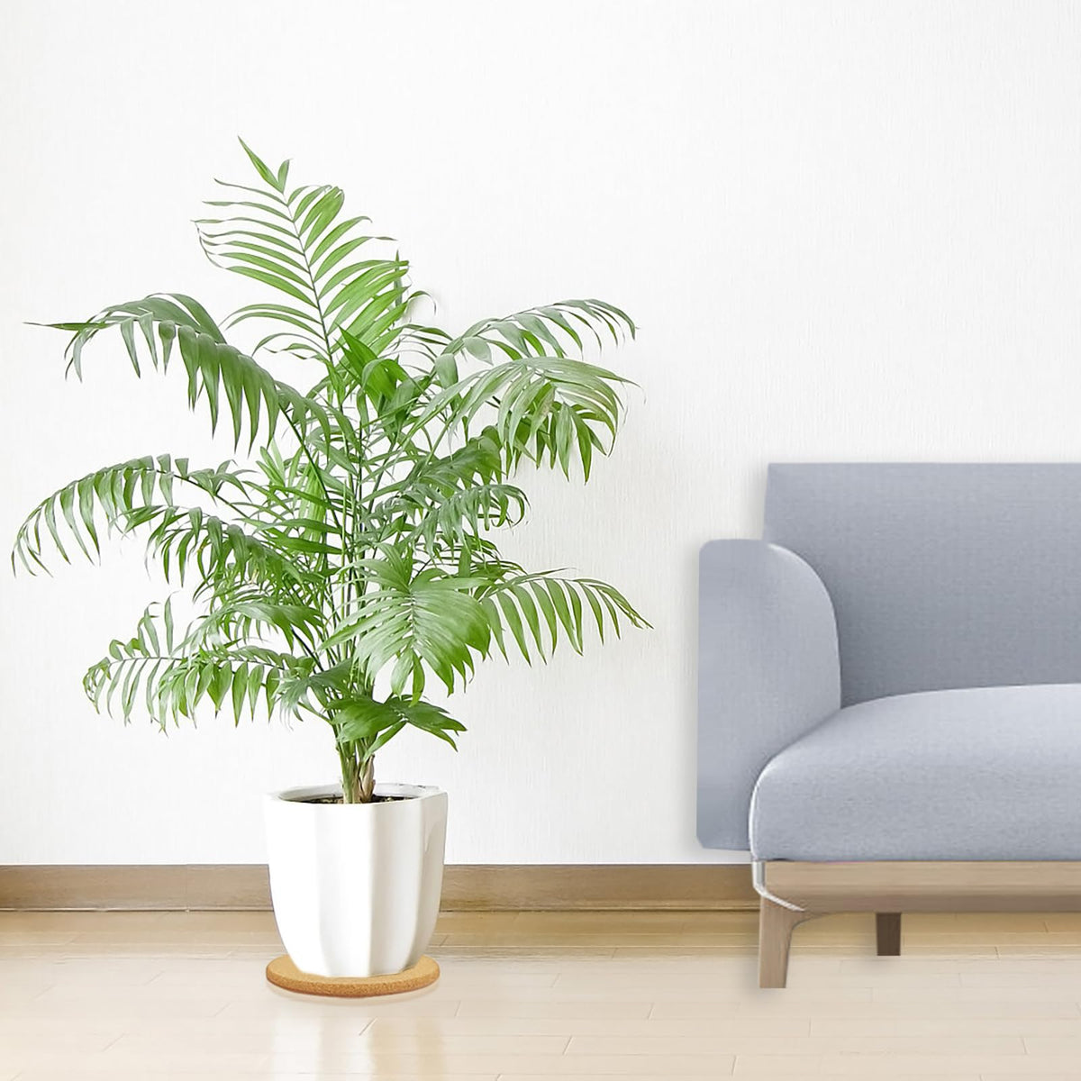 Venyat cork coaster/trivet for plants offers multi-use protection and decor.