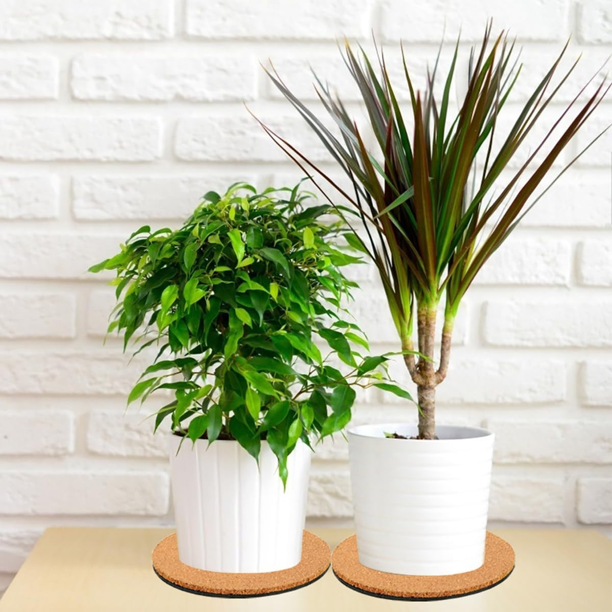 Venyat cork plant coaster indoor-outdoor versatility suits garden and home.