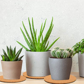 Venyat cork plant mat 6-inch offers anti-slip protection for furniture.