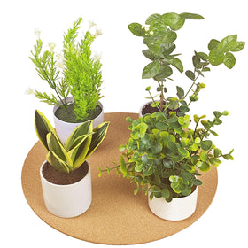 Venyat cork plant mat paintable surface for customization