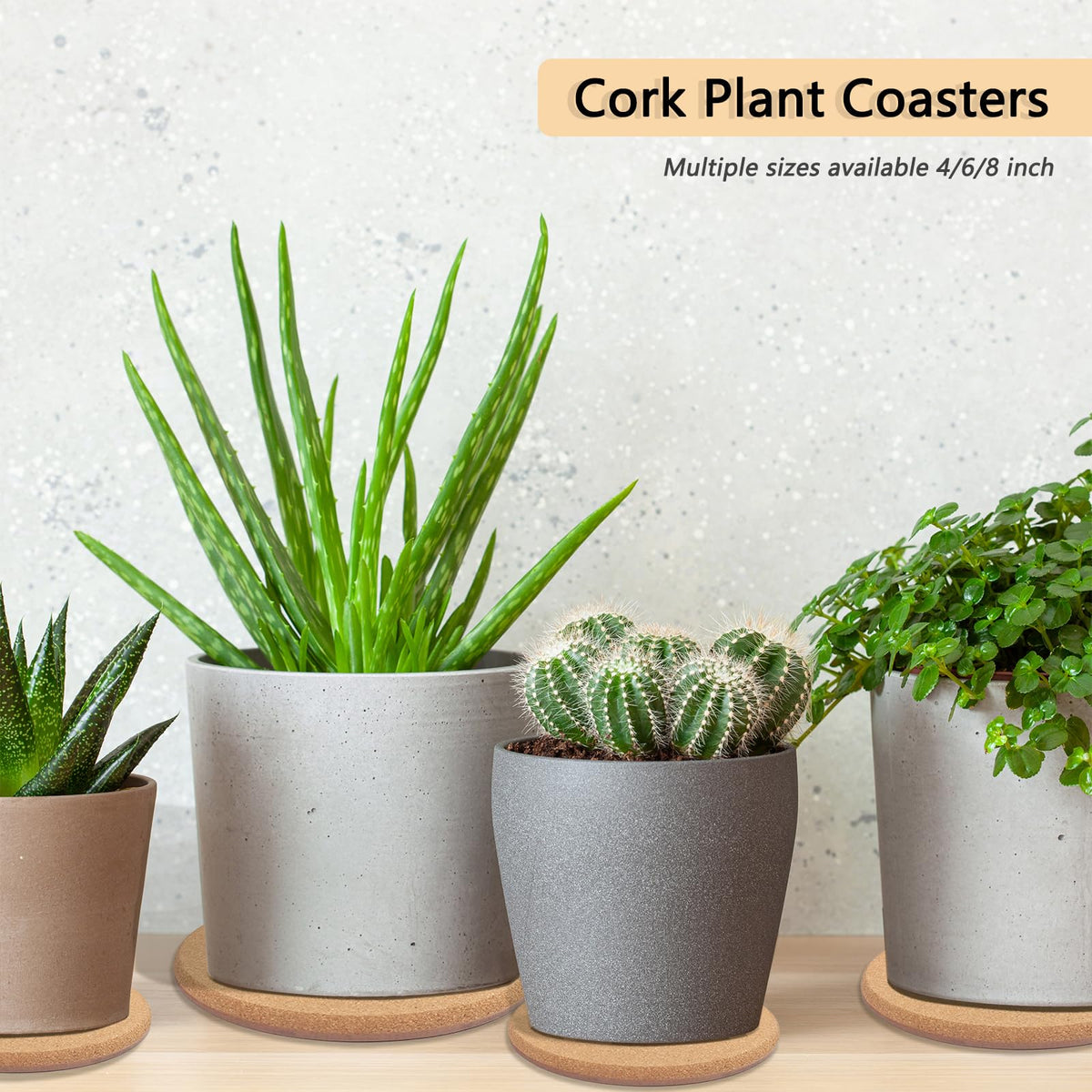 Venyat plant coasters set includes 10 pieces for versatile spacing.