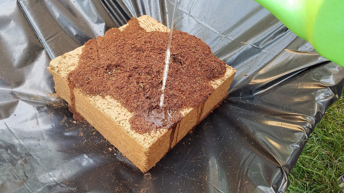 Verdana Coco Coir Potting Soil Brick provides a clean, low-salt growing medium