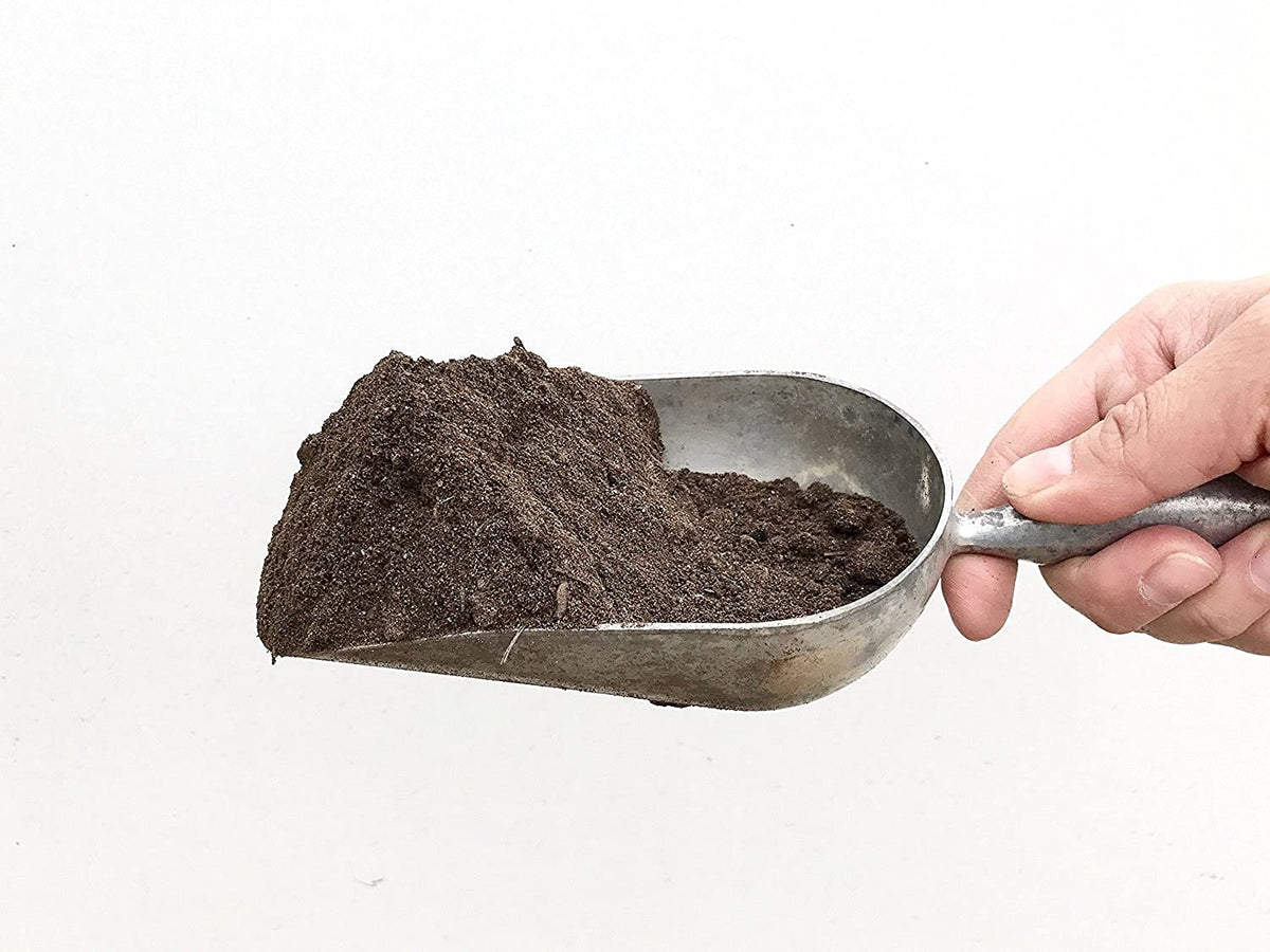 VermisTerra castings feeding container-grown herbs and vegetables