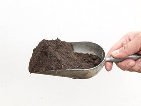 VermisTerra castings feeding container-grown herbs and vegetables
