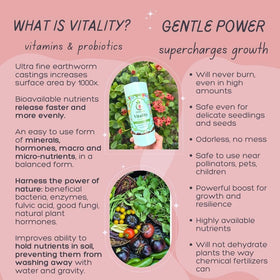 VermisTerra Vitality bottle label highlighting organic nutrients for steady growth.