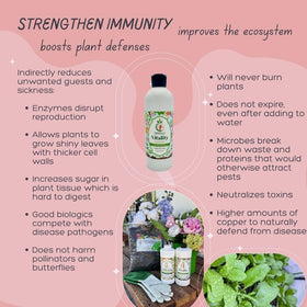 VermisTerra Vitality supporting healthy leaves and vibrant greenery on a plant.