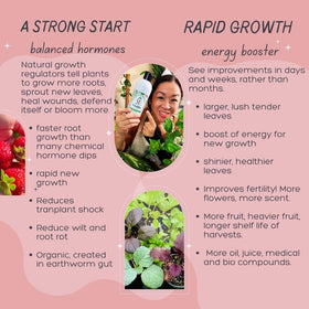 VermisTerra Vitality aiding seedling root development and faster rooting.