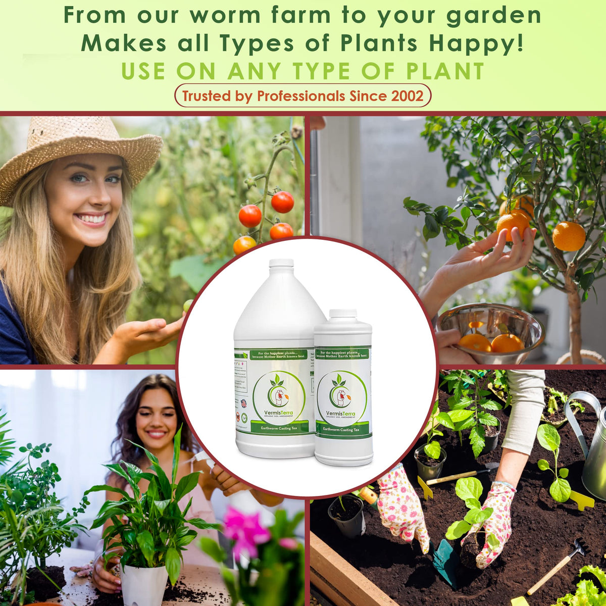VermisTerra Worm Tea garden setup shows practical use in beds.