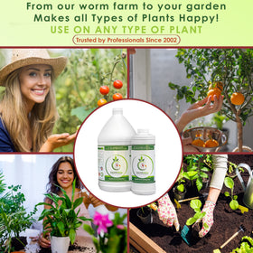VermisTerra Worm Tea garden setup shows practical use in beds.