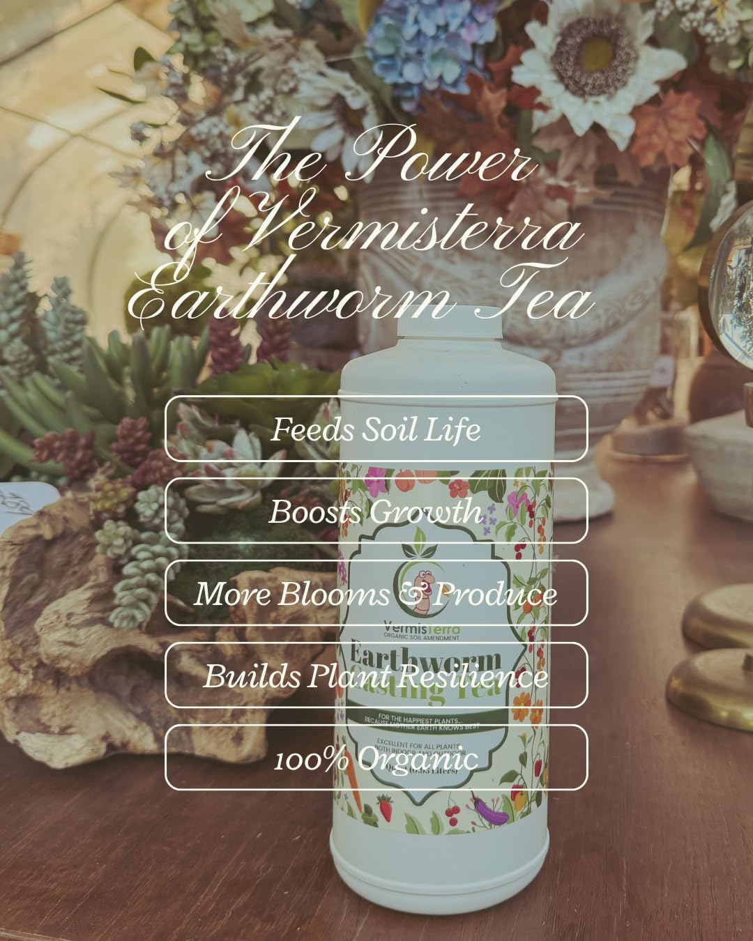 VermisTerra Worm Tea plant probiotic promo illustrates soil vitality.
