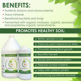 VermisTerra Worm Tea pour action demonstrates simple application.
