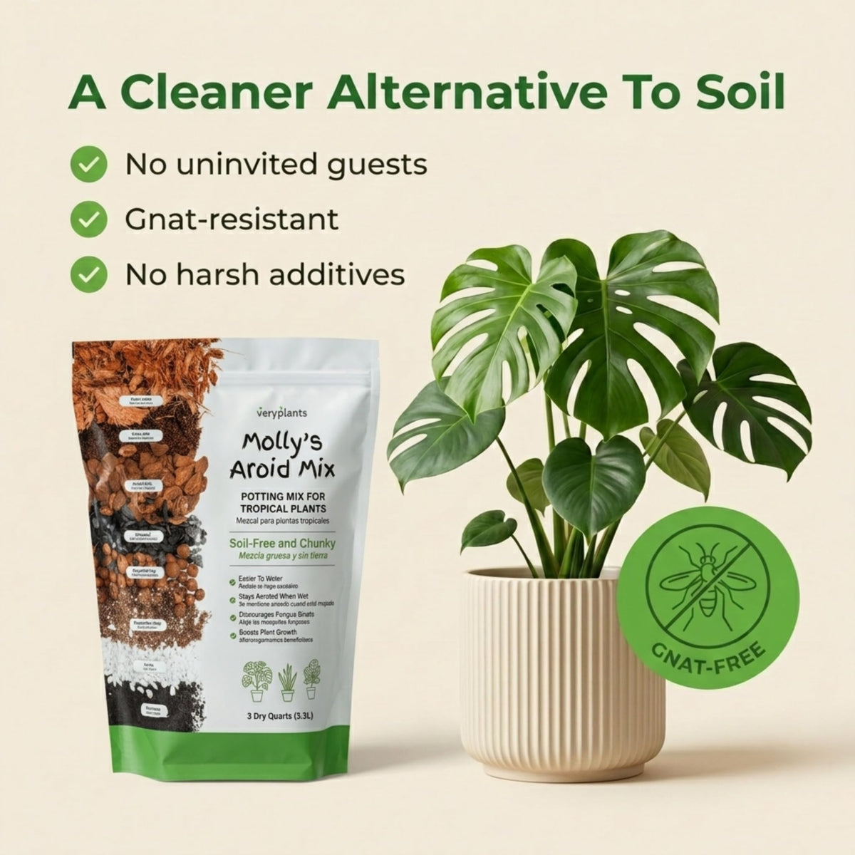 Veryplants Molly's Aroid Mix in a pot demonstrates cleaner, gnats-free indoor care.