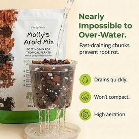 Veryplants Molly's Aroid Mix texture closeup highlights chunky components for excellent aeration.