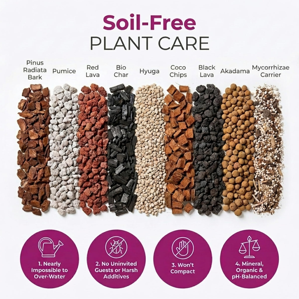 Molly's mix with akadama and pumice for strong root growth and moisture balance.