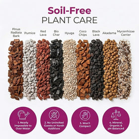 Molly's mix with akadama and pumice for strong root growth and moisture balance.