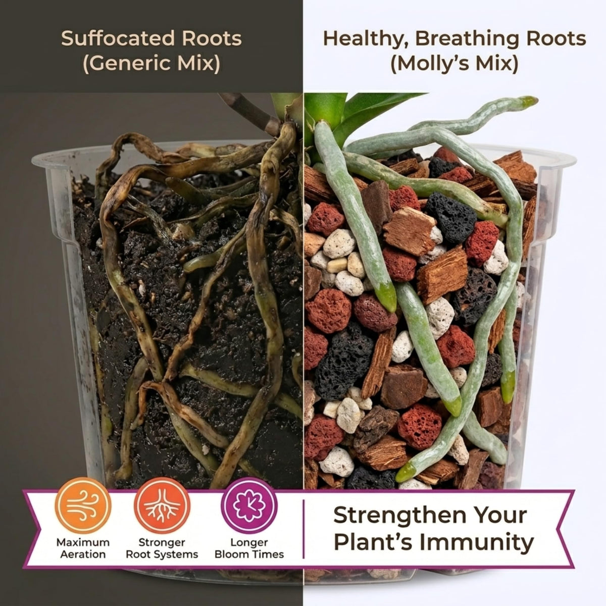 VeryPlants Molly's mix is gnat-resistant and mess-free compared to traditional soils.