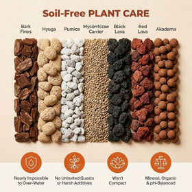 veryplants Molly's Succulent Mix ingredients close-up highlighting Akadama and Pumice balance.