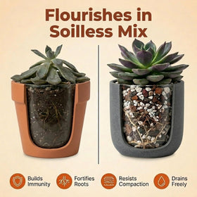 veryplants Molly's Mix bag closed with reseal option keeping mix fresh.