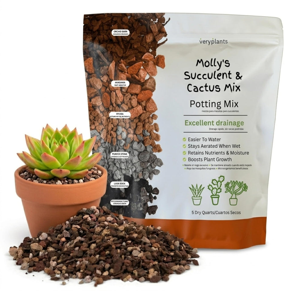 veryplants Molly's Succulent Mix texture close-up shows gritty particles for superior drainage.