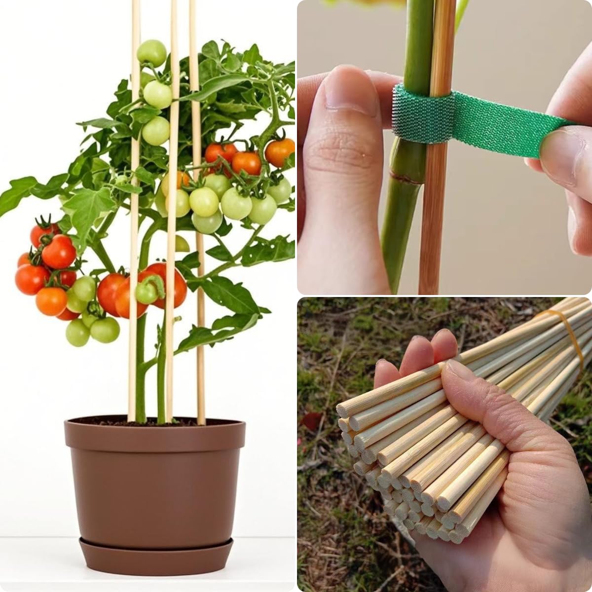 Vesyman 24-inch stakes are perfect for marshmallow roasting during outdoor events.