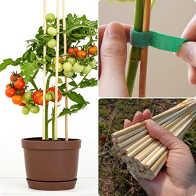 Vesyman 24-inch stakes are perfect for marshmallow roasting during outdoor events.