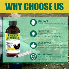 Laying hens in production with VetaSure during egg cycle.