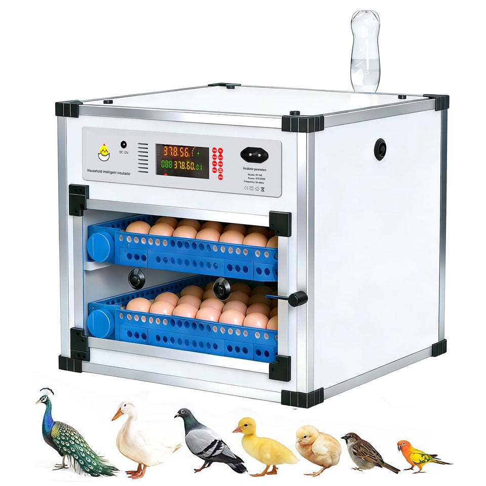 Vevitts 136-egg incubator front view highlighting large capacity.