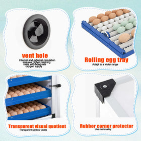 Vevitts energy-efficient incubator reduces power use while maintaining conditions.