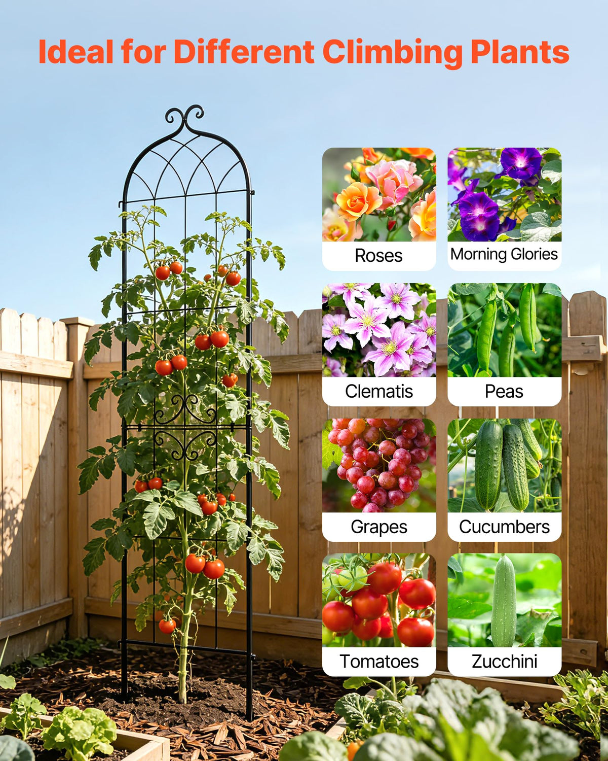 VEVOR rose trellis arch design supports climbing roses beautifully