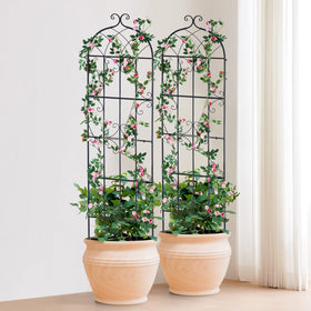 VEVOR trellis line along a pathway creates a natural focal point