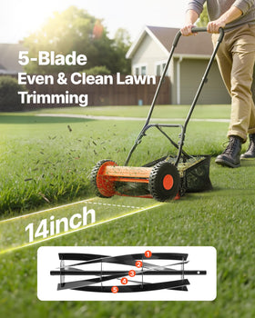 VEVOR five-blade design delivers clean cuts for a neat lawn