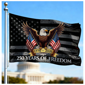Veworn 250th anniversary flag for front door with vibrant colors and durable outdoor display