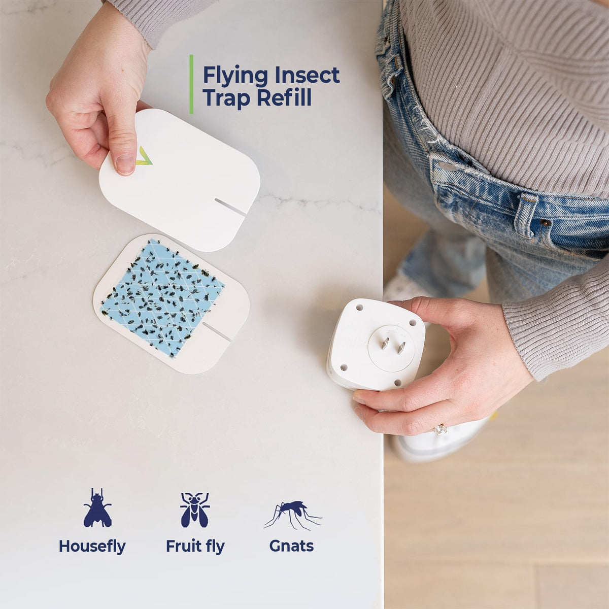 VEYOFLY indoor trap in action catching flies