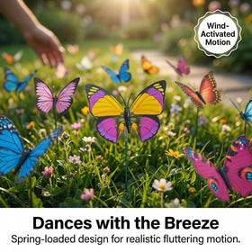 VGOODALL color variety butterfly packaging for versatile decor ideas.