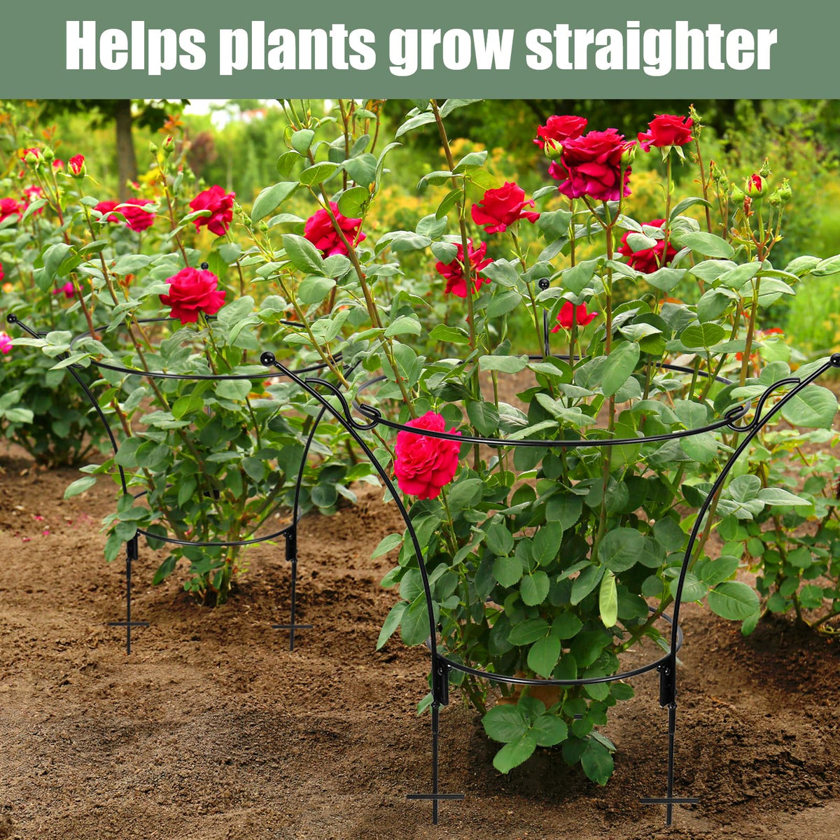 All-weather garden stakes protect blooms during wind and rain