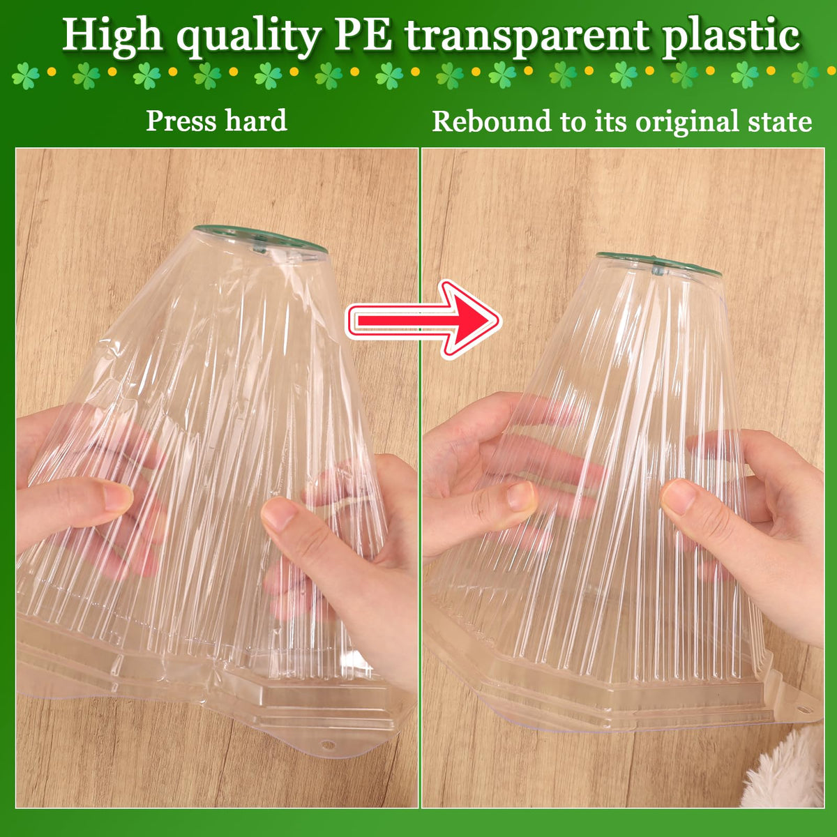 VICAMB cloches with clear design for sunlight and easy growth checks