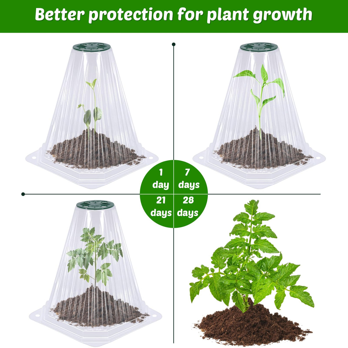VICAMB ground stakes keep cloches secure in soil against wind