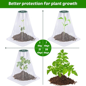 VICAMB ground stakes keep cloches secure in soil against wind