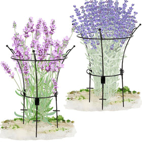 VICAMB large peony cage supports roses for upright blooms