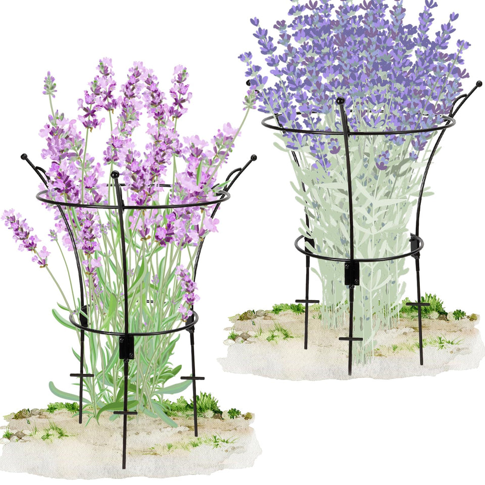 VICAMB large peony cage supports roses for upright blooms