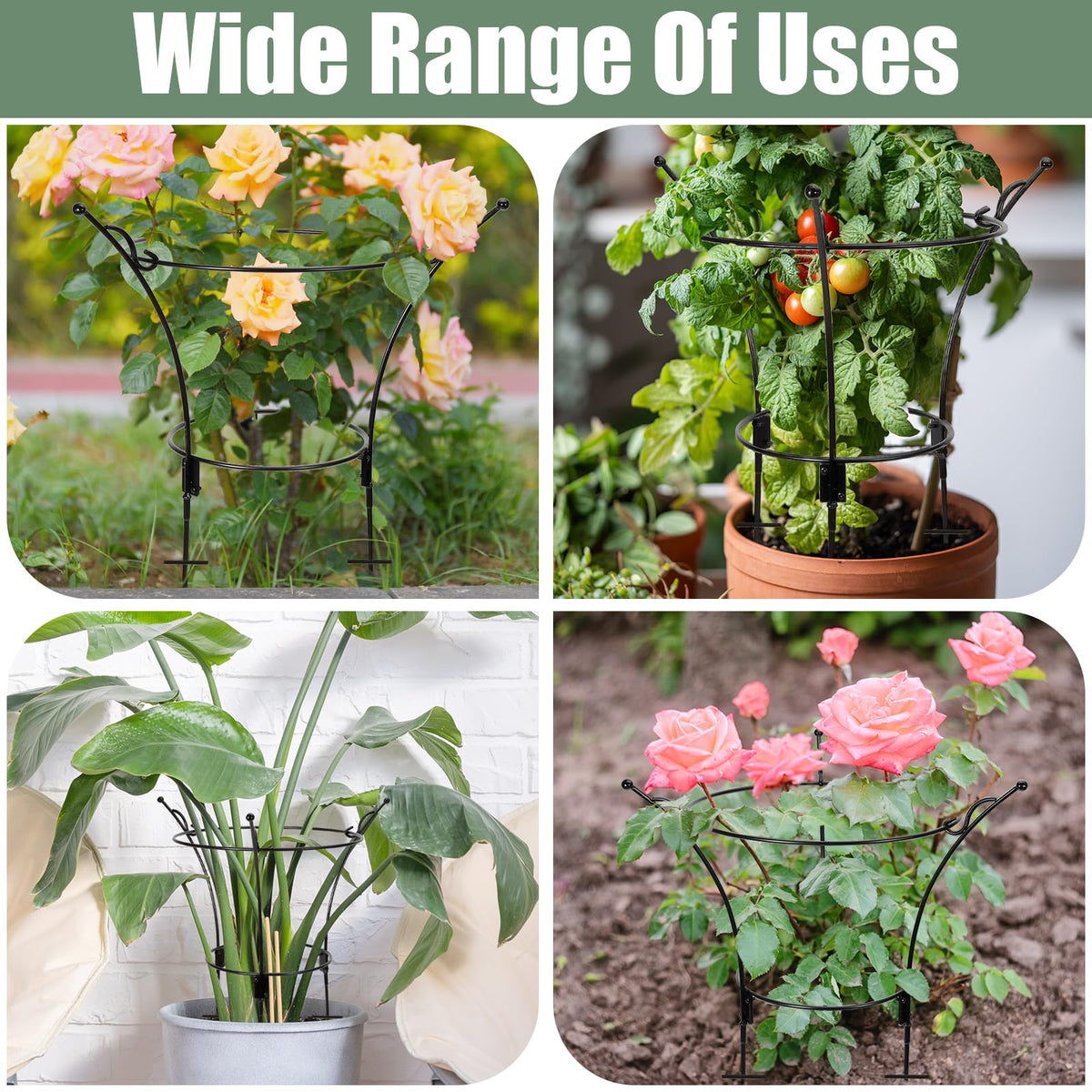 Outdoor VICAMB supports suitable for roses and peonies in the garden