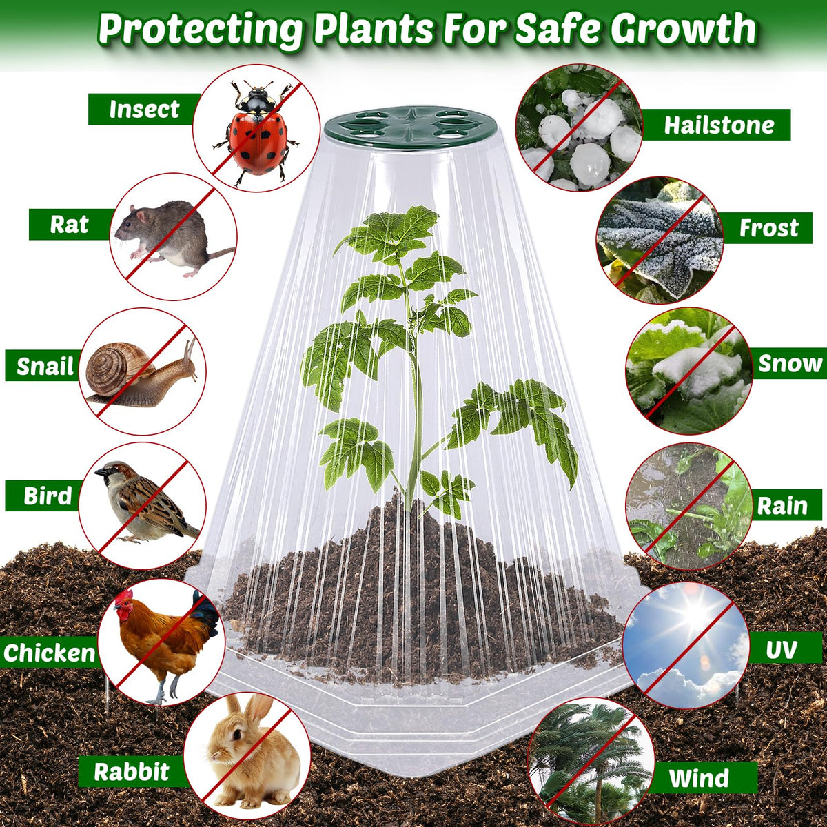 VICAMB protect seedlings like tomatoes and peppers during early growth