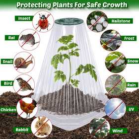 VICAMB protect seedlings like tomatoes and peppers during early growth