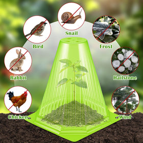 VICAMB assembly in garden with cloches protects from birds and weather.