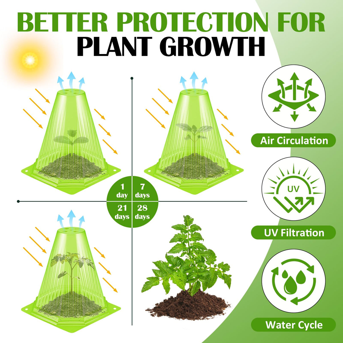 VICAMB vented top mini greenhouse design supports airflow for healthy seedlings.